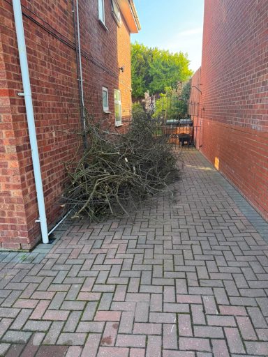 Garden Waste - Before Garden access blocked by branches before clearance
